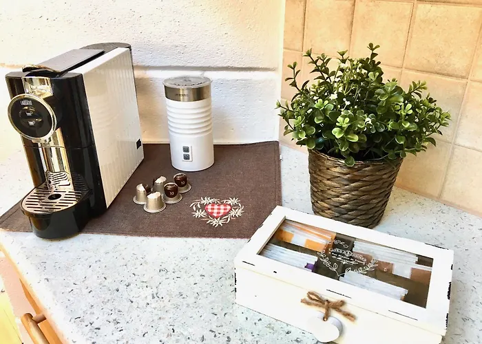 Belle Kitz Im Zentrum By Belle *